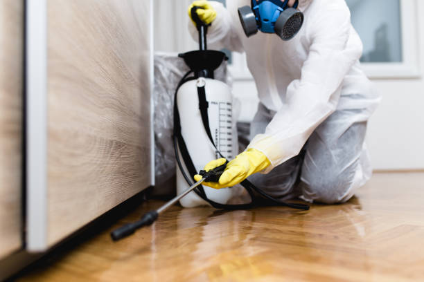 Best Best Pest Control Companies  in Auburn Lake Trails, CA