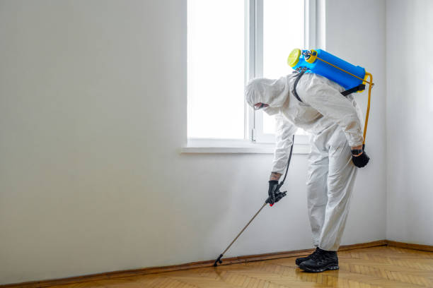 Best Affordable Pest Control Services  in Auburn Lake Trails, CA