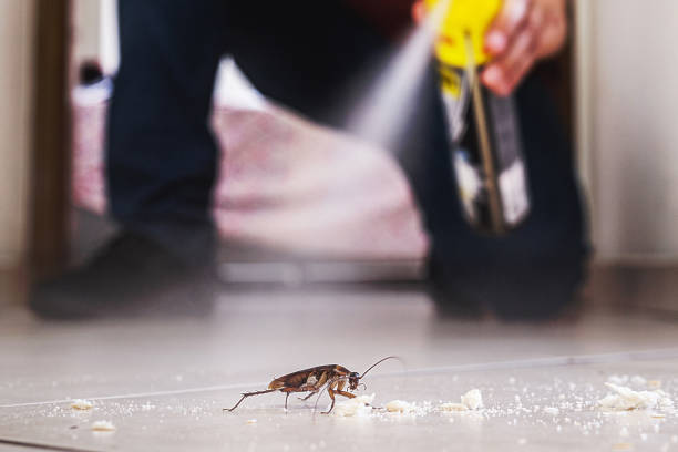 Pest Prevention Services in Auburn Lake Trails, CA