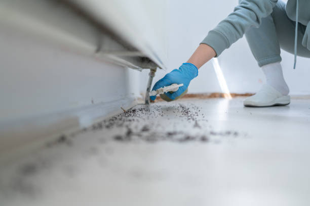 Best Residential Pest Control  in Auburn Lake Trails, CA